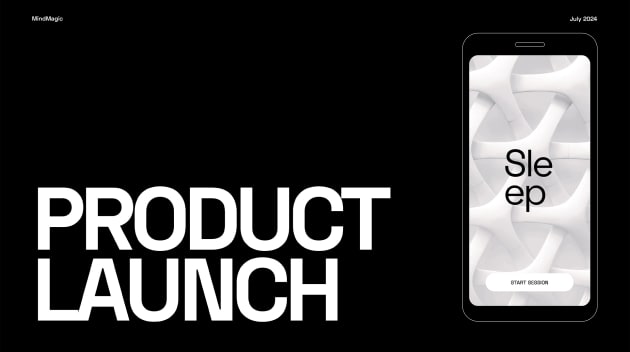 Product Launch